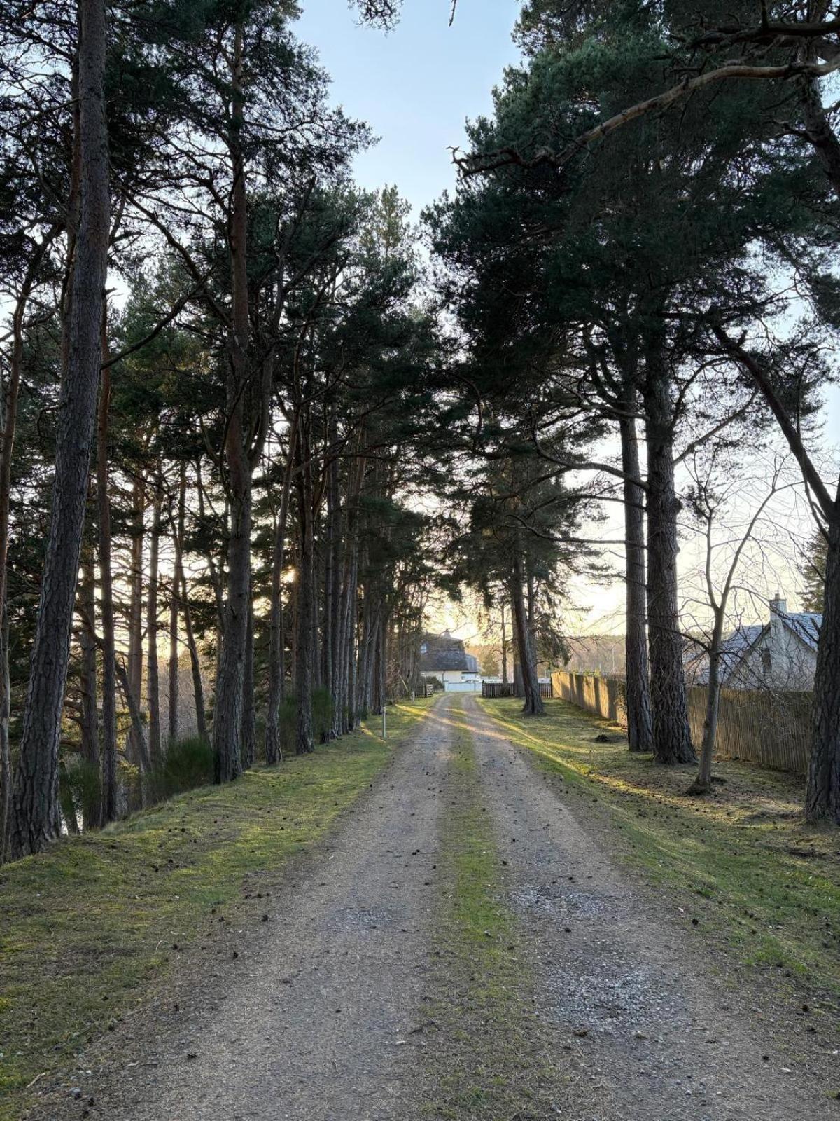 קרברידג' Dalrachney Lodge מראה חיצוני תמונה